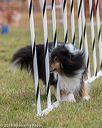 20190616-cckc-0399