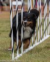 20190616-cckc-0590