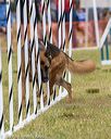 20190616-cckc-0645