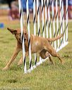 20190616-cckc-0694