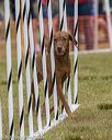 20190616-cckc-0724
