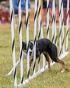 20190616-cckc-0765