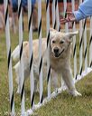 20190616-cckc-0777