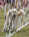 20190616-cckc-0779