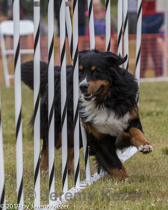 20190616-cckc-0587.jpg