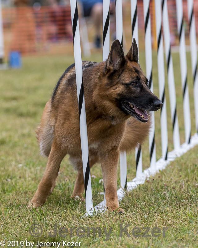 20190616-cckc-0653.jpg