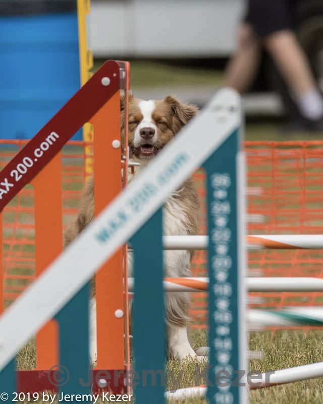 20190616-cckc-1660.jpg