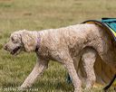 20190616-cckc-1704