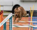 20190616-cckc-1784