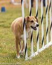 20190616-cckc-0877
