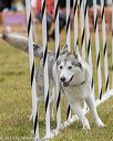 20190616-cckc-0907