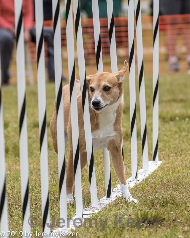 20190616-cckc-0872.jpg