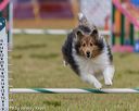 20190616-cckc-0937