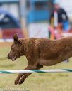 20190616-cckc-0951