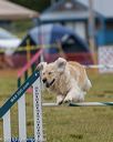 20190616-cckc-0957