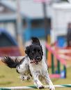 20190616-cckc-0965