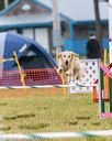 20190616-cckc-0977