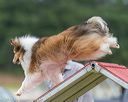 20190616-cckc-0006