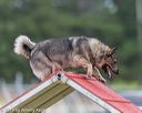 20190616-cckc-0011