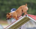20190616-cckc-0024