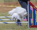 20190616-cckc-0031