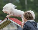 20190616-cckc-0036