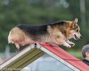 20190616-cckc-0053