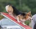 20190616-cckc-0055