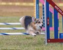 20190616-cckc-0056