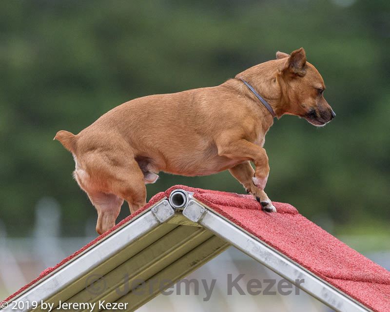 20190616-cckc-0019.jpg