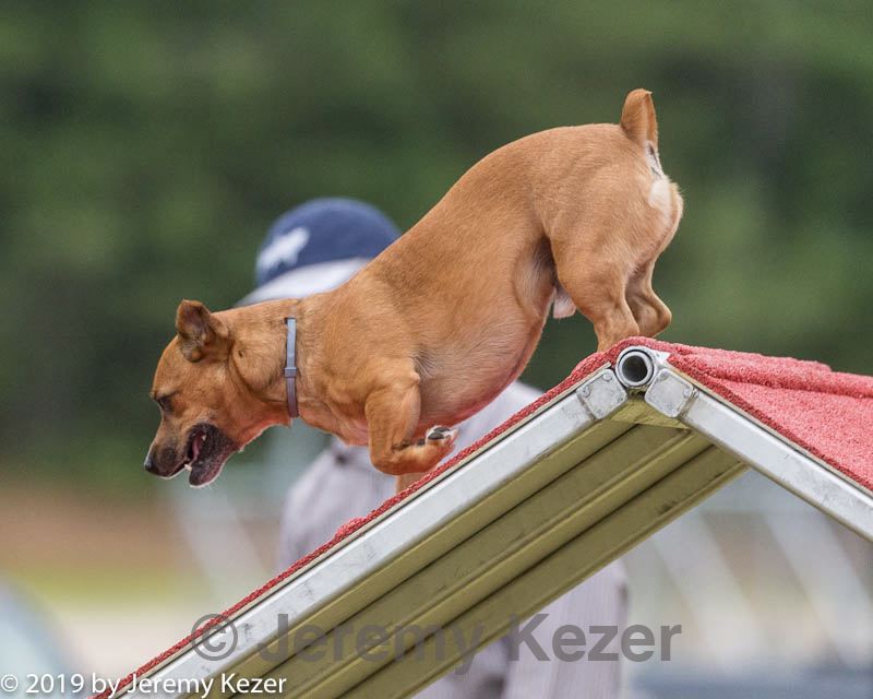 20190616-cckc-0024.jpg
