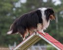 20190616-cckc-0069