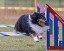 20190616-cckc-0074