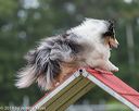20190616-cckc-0081