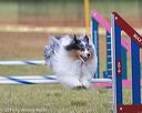 20190616-cckc-0088