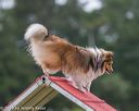20190616-cckc-0099