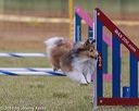 20190616-cckc-0102