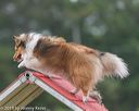 20190616-cckc-0104