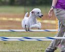 20190616-cckc-0118