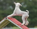 20190616-cckc-0119