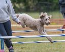 20190616-cckc-0168