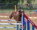 20190616-cckc-0192