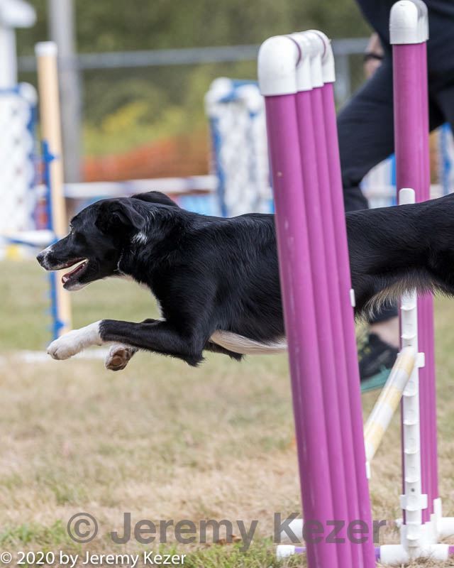 20200819-1173.jpg