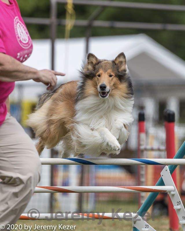 20200819-1675.jpg