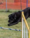 20200819-0186