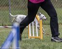 20200819-1801