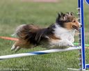 20200819-1826