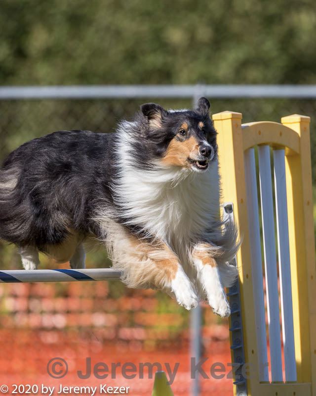 20200819-2637.jpg