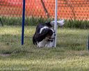 20200819-2777