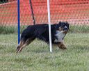 20200819-2860